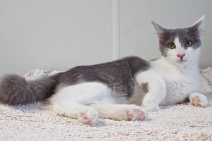 Picture of Jerry