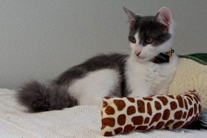 Picture of Jerry