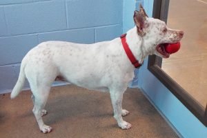 Picture of Lexi