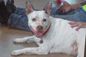 Picture of Lexi