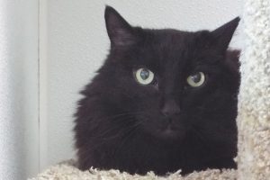 Picture of Mr. Bert