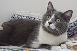 Picture of A.J.