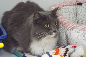 Picture of Mindy