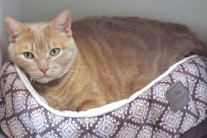 Picture of Roo