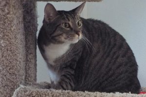 Picture of Rory