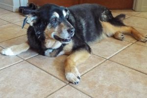 Picture of Bella