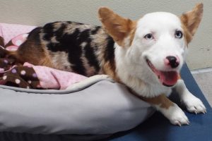 Picture of Chloe