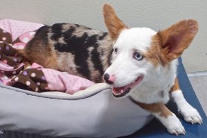 Picture of Chloe
