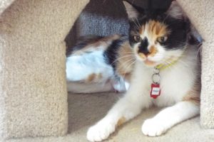 Picture of Maggie