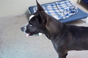 Picture of Thelma