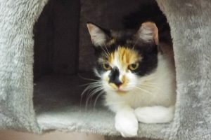 Picture of Maggie