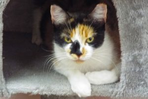 Picture of Maggie