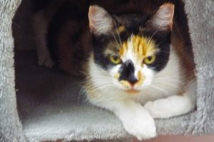 Picture of Maggie