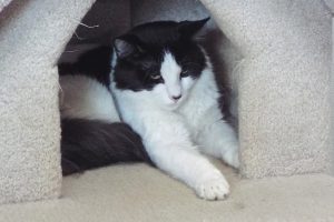 Picture of Ernie
