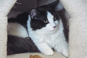 Picture of Ernie