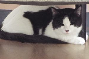 Picture of Ernie