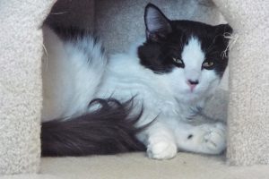 Picture of Ernie