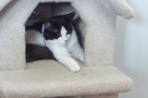 Picture of Ernie