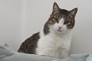 Picture of Charlie