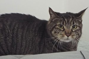 Picture of Murphy