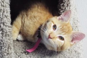 Picture of Zoe