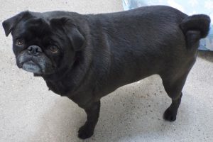 Picture of Zoey