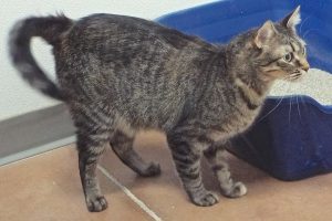 Picture of Alley
