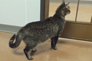 Picture of Alley
