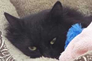 Picture of Colby