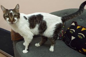 Picture of Jerome