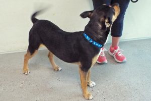 Picture of Kilo