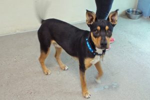 Picture of Kilo