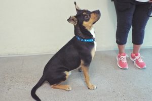 Picture of Kilo