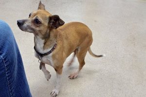 Picture of Darla