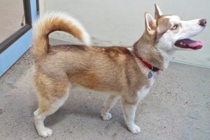Picture of Juneau