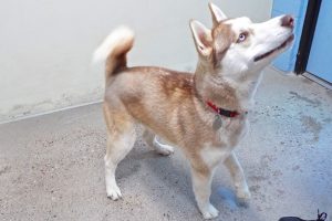 Picture of Juneau