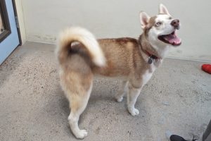 Picture of Juneau