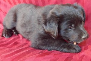 Picture of Tammy
