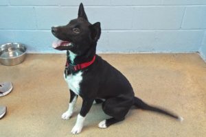 Picture of Holly