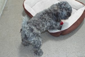 Picture of Jerry