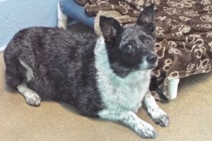 Picture of Heidi