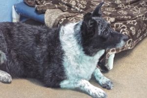 Picture of Heidi