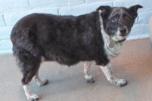 Picture of Heidi