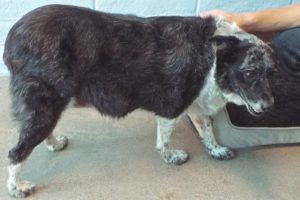 Picture of Heidi