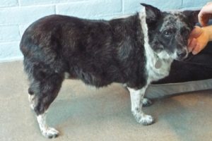 Picture of Heidi