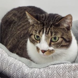 Picture of Jeffrey