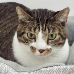 Picture of Jeffrey
