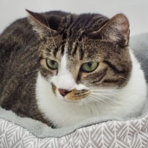 Picture of Jeffrey