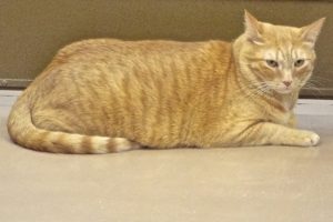 Picture of Jerry