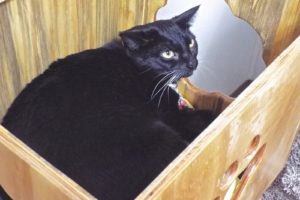 Picture of Katie